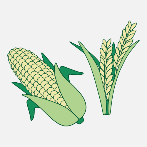 Burnt corn and wheat sensors