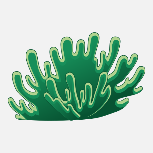 Coral crystal growth